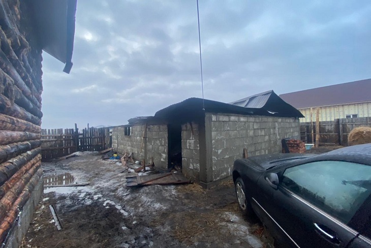 Десять лошадей погибли при пожаре в Иркутском районе