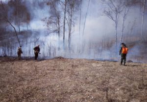 Депутаты Приангарья от КПРФ рекомендовали увеличить финансирование лесопожарной охраны