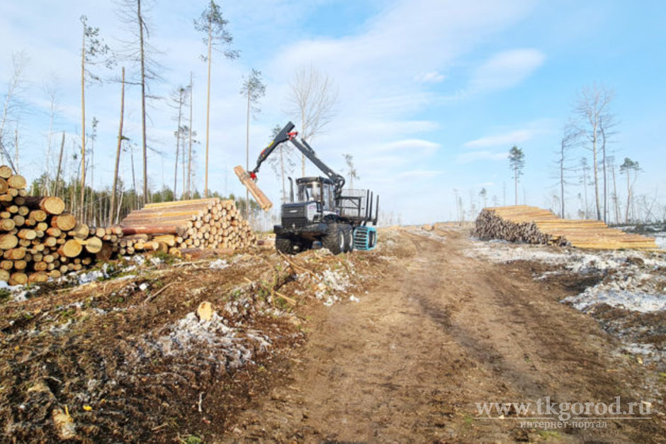 Более 26 млн рублей за 3 месяца взыскали власти Приангарья с арендаторов лесных участков, которые не занимались лесовосстановлением