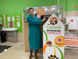 #БериКормиЛюби – сеть супермаркетов «Слата» запустила благотворительную акцию для животных