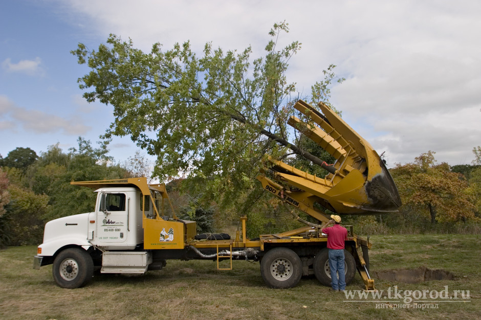 Благодаря спонсорам у Дорожной службы Братска появился спецавтомобиль для пересадки крупномерных деревьев