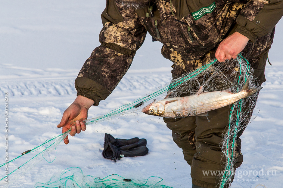 На реках и водохранилищах Иркутской области установлены ограничения и запрет на вылов рыбы