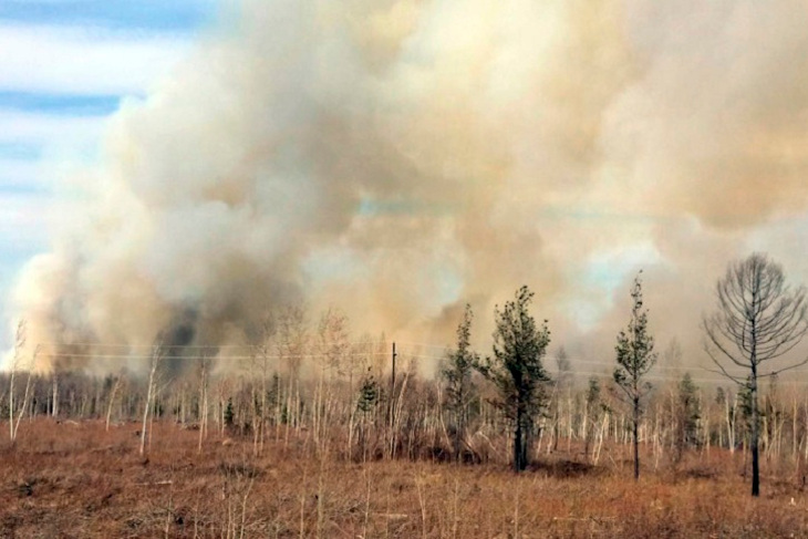 Высокую пожарную опасность прогнозируют в Иркутской области в середине мая