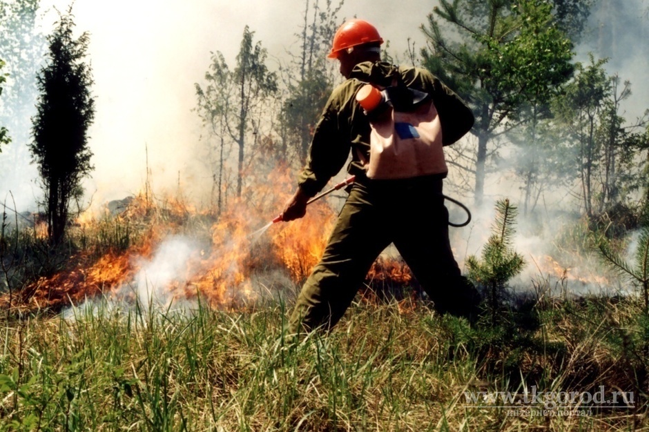 Особый противопожарный режим на юге Иркутской области планируют ввести 26 апреля, на севере – 17 мая
