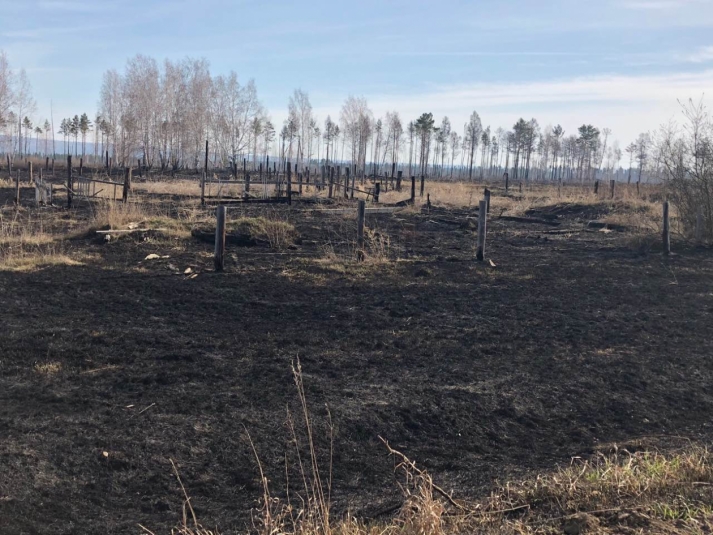 Первый в 2021 году лесной пожар зафиксировали в Иркутской области