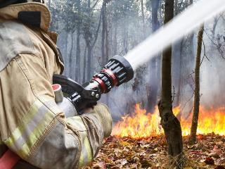 Первый в этом году лесной пожар произошел в Шелеховском районе