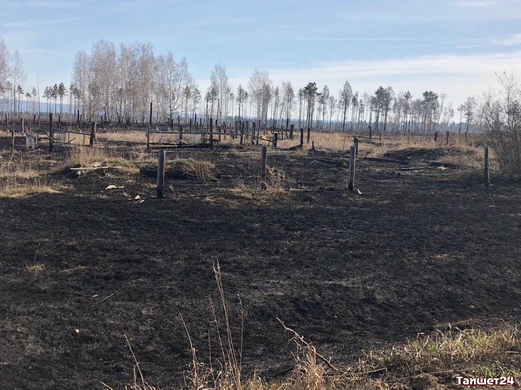 В Иркутской области произошёл первый лесной пожар