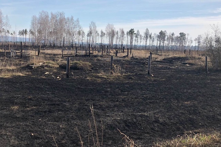 Первый лесной пожар произошел в Иркутской области
