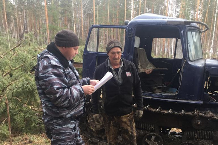 38 незаконных рубок леса выявили в Иркутской области за две недели