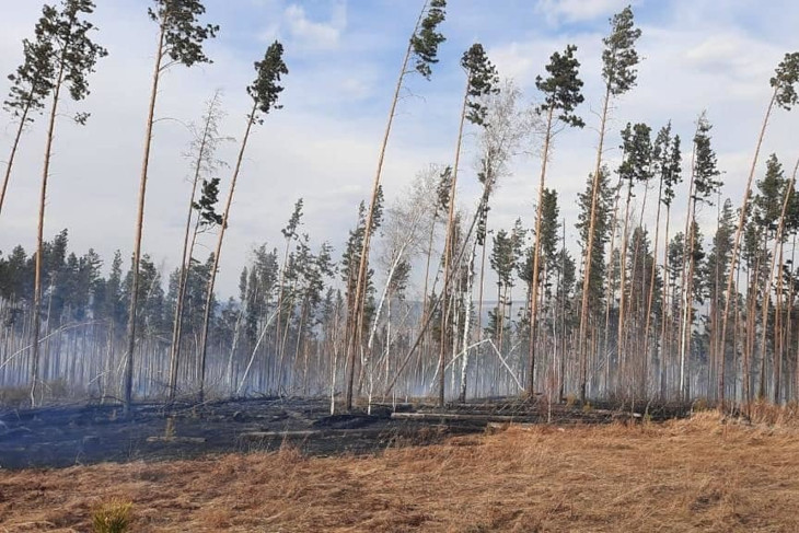 В Иркутском районе из-за непотушенной сигареты загорелся лес