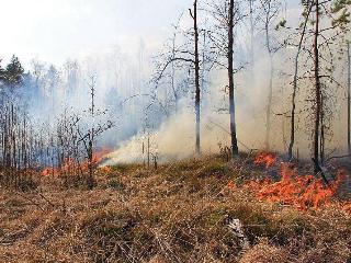 За выходные дни в Иркутской области обнаружено и ликвидировано три пожара