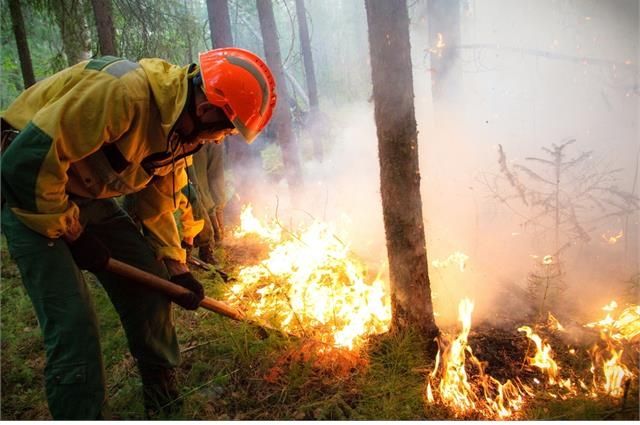 3 лесных пожара произошли за выходные в Иркутской области