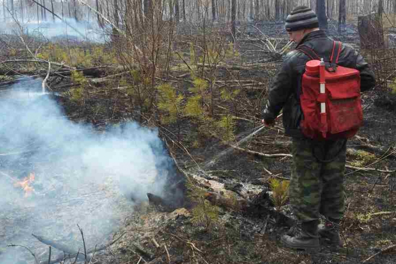Два пожара возникли в лесном фонде Иркутской области по вине местного населения