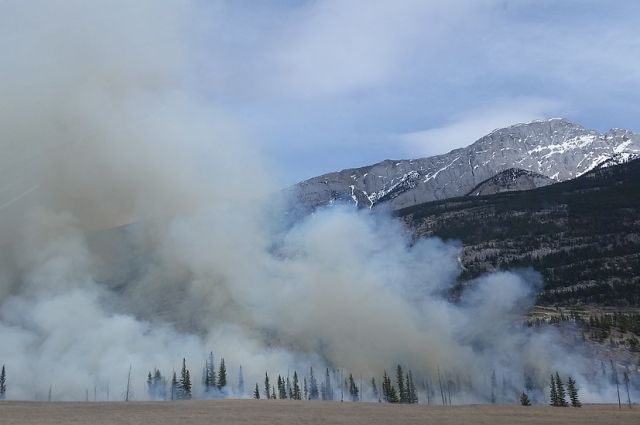 Два лесных пожара обнаружили в Иркутской области