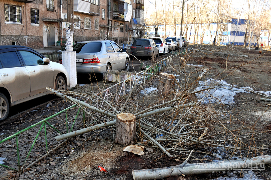 Собственники дома в Братске проголосовали за валку деревьев во дворе - деревья спилили, жители возмутились