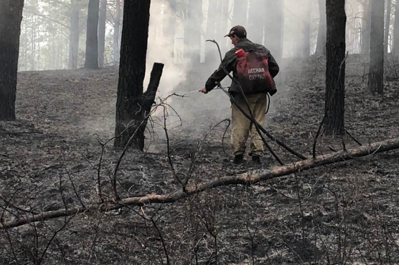 Лесной пожар вспыхнул в пяти км от деревни Егоровщина в Иркутском районе