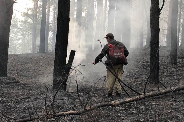 В Иркутском районе потушили лесной пожар