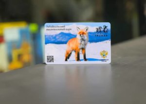 Транспортные карты с изображением байкальской лисички появились в московском метро