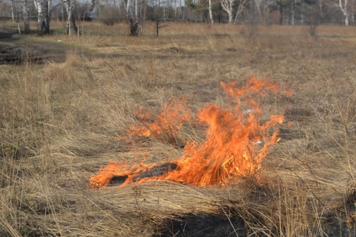 В южных, западных и центральных районах Иркутской области противопожарный режим введут 1&nbsp;мая
