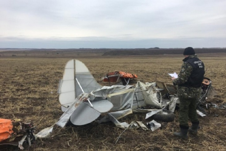 Ошибка пилота и неисправность рассматриваются как причины падения легкомоторного самолета вблизи Рысево