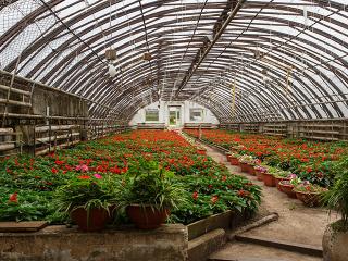 Иркутский «Горзеленхоз» планирует высадить 250 тысяч растений