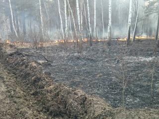 За сутки в Иркутской области нашли и ликвидировали шесть природных пожаров