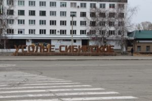 Жители проголосовали за строительство экотехнопарка в Усолье-Сибирском