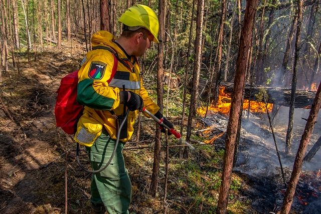 Три лесных пожара ликвидировали с 30 апреля по 2 мая в Иркутской области