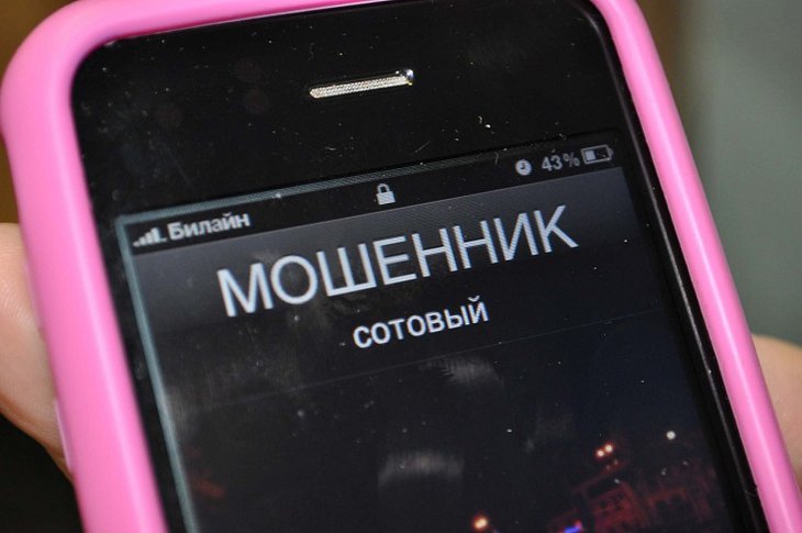 МВД запустит мобильный сервис для борьбы с телефонным мошенничеством