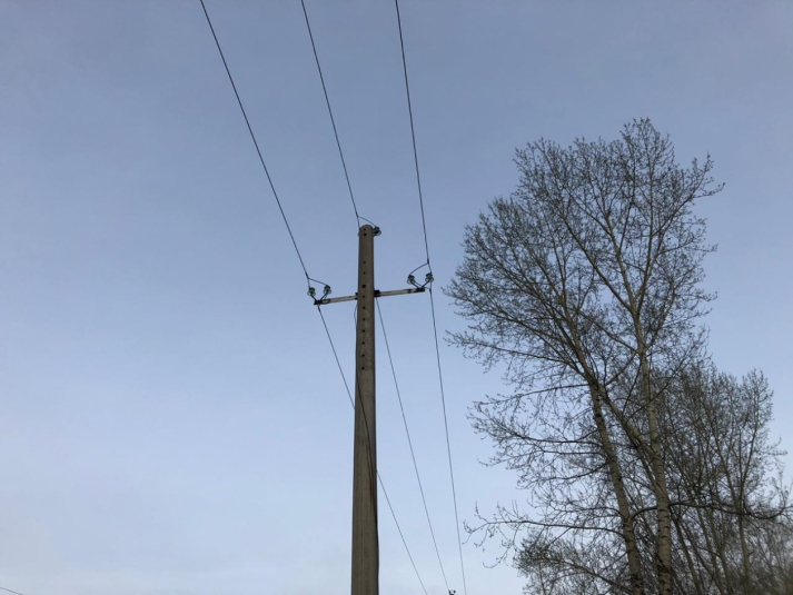 Упавшее дерево стало причиной отключения электроэнергии в Ольхонском районе Приангарья