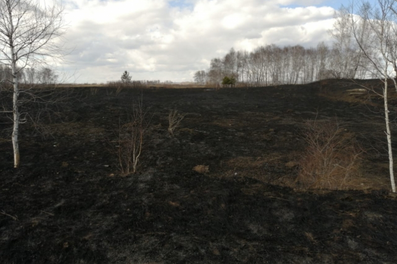 Молодой человек психанул и спалил около 20-ти га леса в Иркутской области