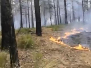 В Усольском районе 18-летний хулиган психанул и спалил 20 гектаров леса
