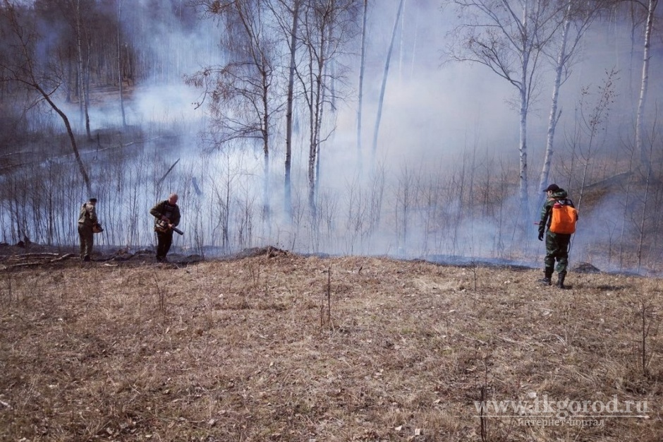 За первые 3 майских дня в Братском районе обнаружили 5 лесных пожаров