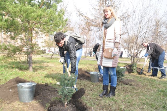 Ежегодная акция по посадке деревьев пойдет 22 мая в Иркутске