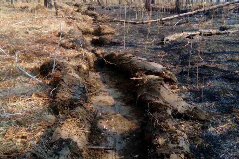 Лесной пожар произошел в трех км от Бодайбо в Иркутской области