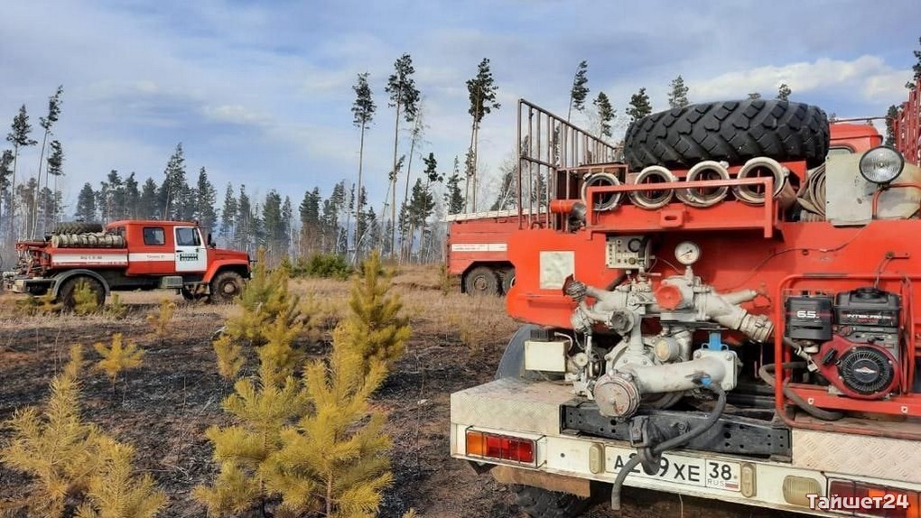Оба лесных пожара в Тайшетском районе накануне произошли по вине местных жителей