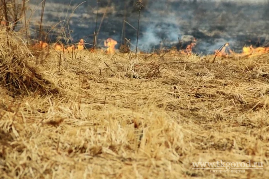 В Киренске школьники  чуть не сожгли  несколько жилых домов
