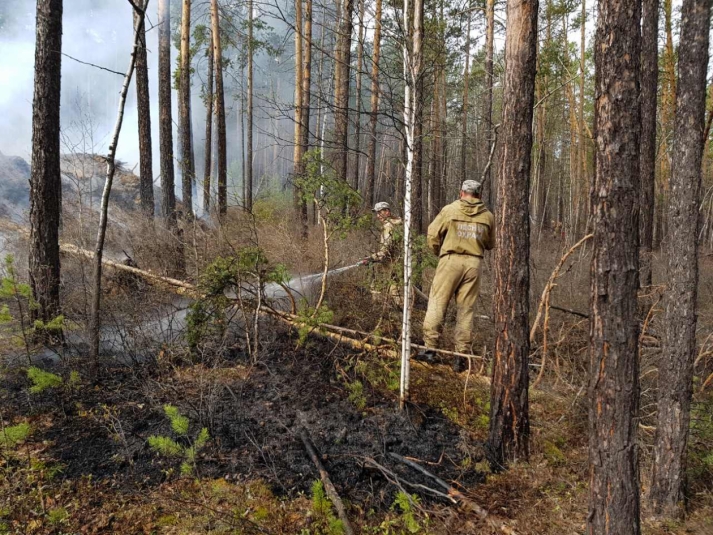 Три лесных пожара ликвидировали за прошедшие сутки в Иркутской области