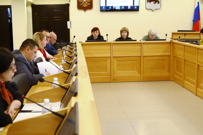 Комиссия по регламенту Заксобрания Приангарья обсудила информацию о деятельности СОНКО