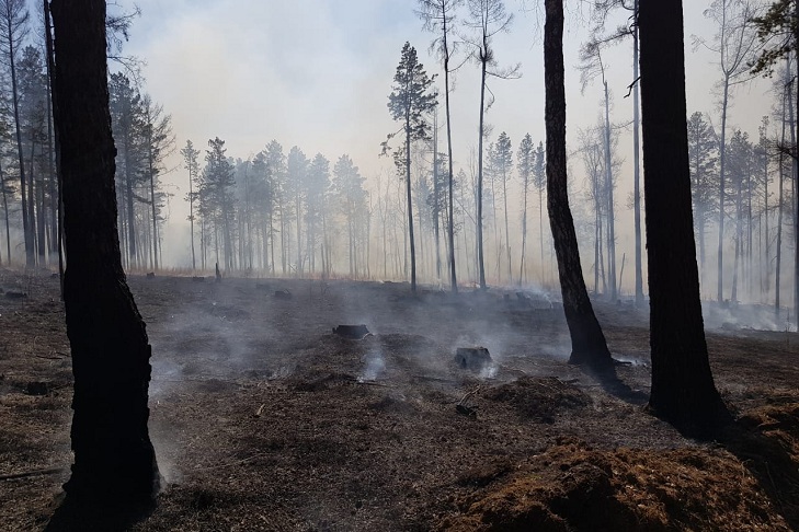 Девять лесных пожаров произошло в Иркутской области за сутки