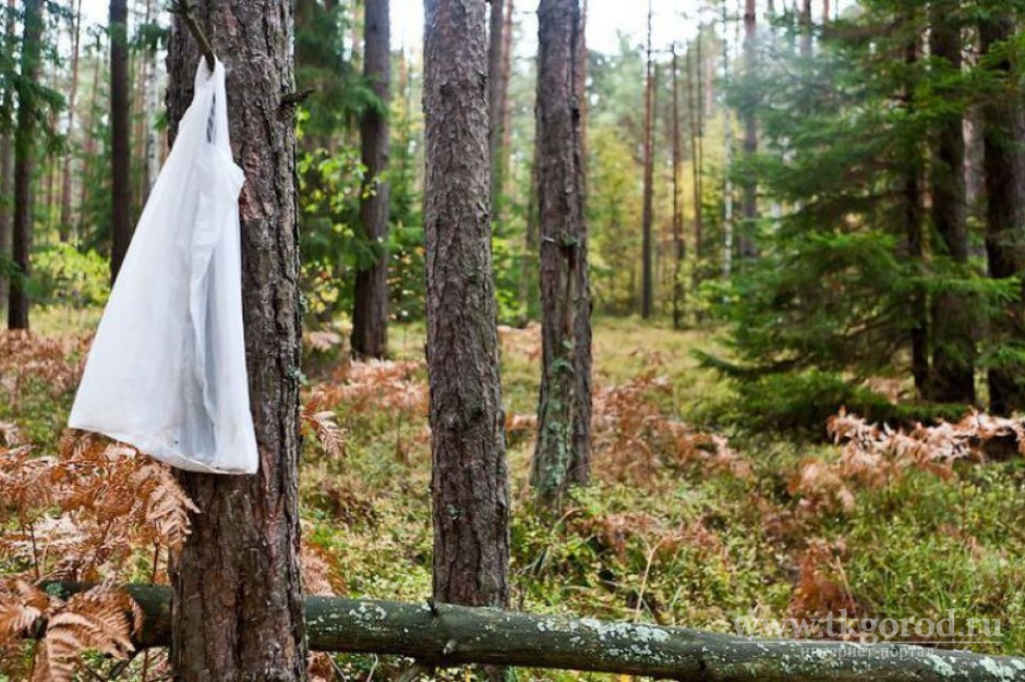 В Тулунском районе женщина с двумя маленькими детьми заблудилась в лесу