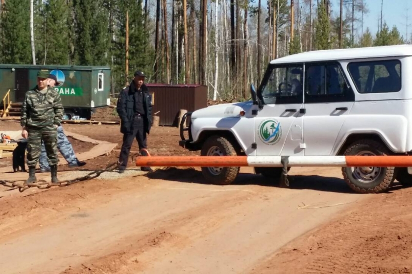 Особый противопожарный режим ввели в лесах Иркутской области с 17 мая