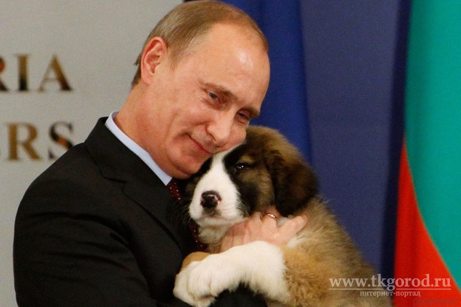 Владимир Путин поручил уже в этом году подготовить законопроект об учете домашних животных и контроле безнадзорных