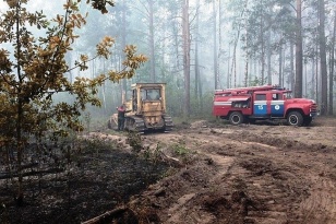 Власти Катангского и Усть-Кутского районов приняли решение о введении режима чрезвычайной ситуации в лесах