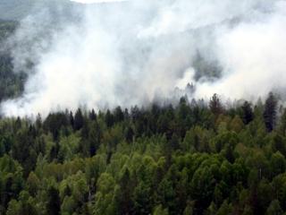 В Иркутской области действуют пять лесных пожарах, на двух территориях введен режим ЧС