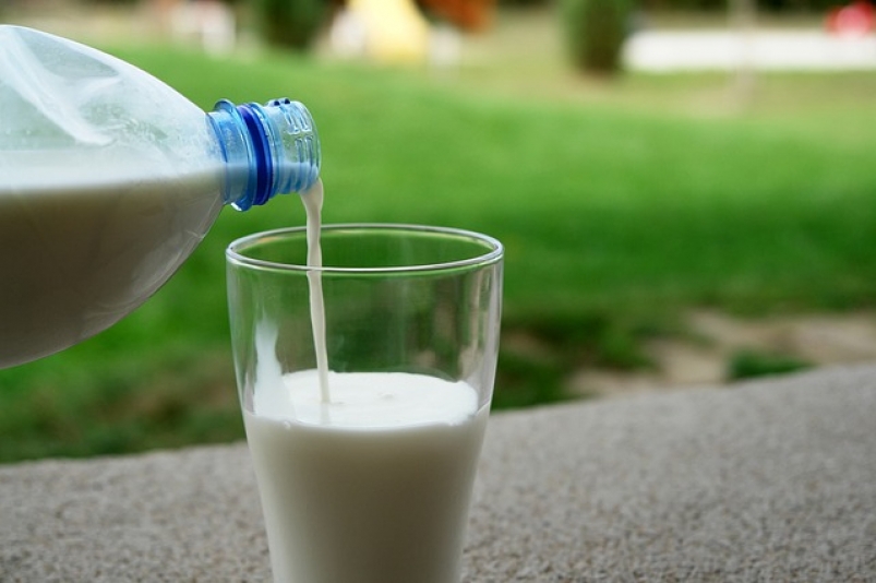 Правительство России занимается вопросом обеспечения школьников молоком