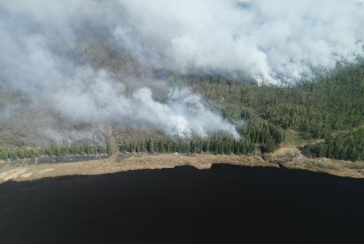 Площадь лесных пожаров в Иркутской области превысила пять тысяч гектаров