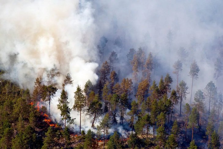 Глава минлеса Иркутской области прокомментировал заявление Минприроды о заниженных данных по пожарам