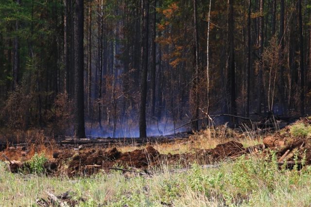Режим ЧС, введенный из-за лесных пожаров, сняли в Катангском районе