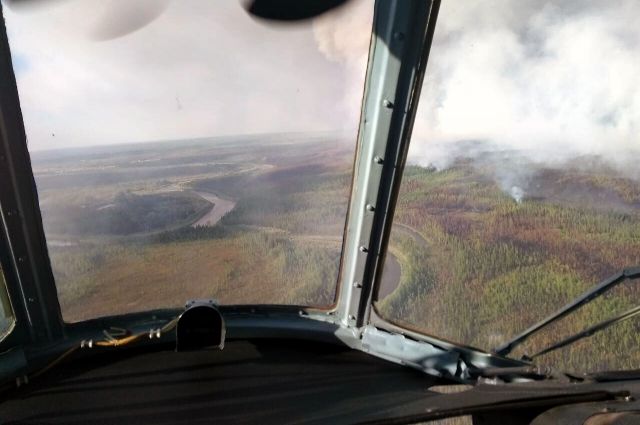 За минувшие сутки в лесном фонде Иркутской области ликвидировано три пожара